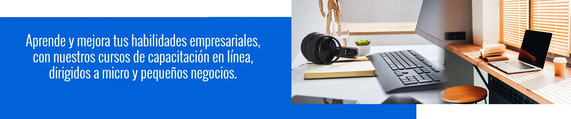 Aprende y mejora tus habilidades empresariales, con nuestros cursos de capacitación en línea, dirigidos a micro y pequeños negocios.