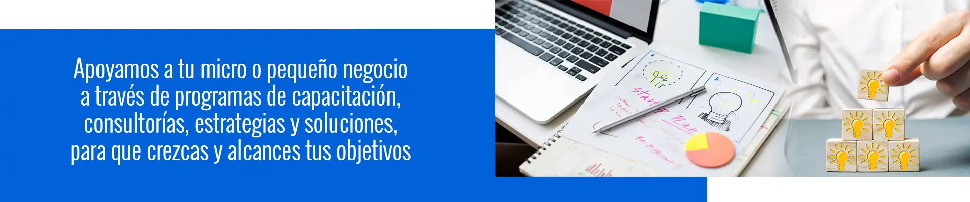 Apoyamos a tu micro o pequeño negocio a través de programas de capacitación, consultorías, estrategias y soluciones, para que crezcas y alcances tus objetivos