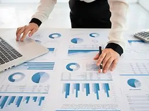 Análisis y estudios de mercado Análisis y estudios de mercado